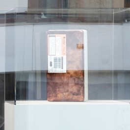 Dominique Blais "Correspondance lumineuse"