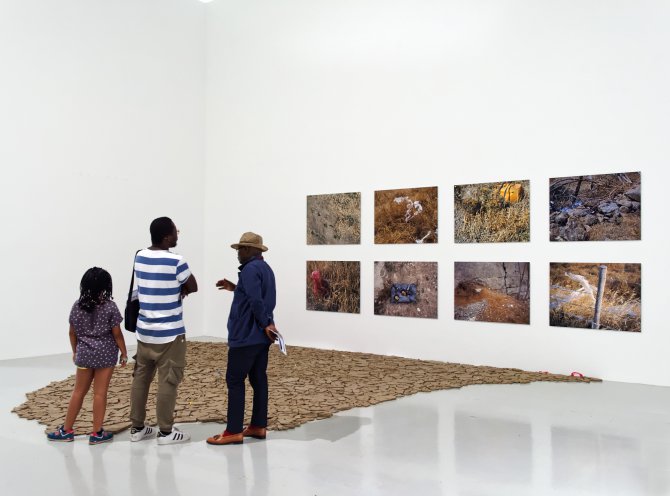 Vue de l'exposition : Lois Weinberger, L’Envers du Paysage au Frac Franche-Comté en 2018