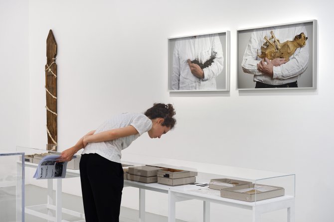 Vue de l'exposition : Lois Weinberger, L’Envers du Paysage au Frac Franche-Comté en 2018