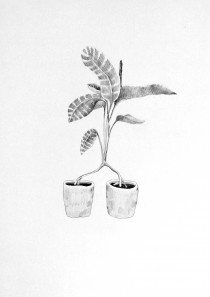 Carolina Fonseca, Gens de deux pays ou plus, 2018 ©Carolina Fonseca