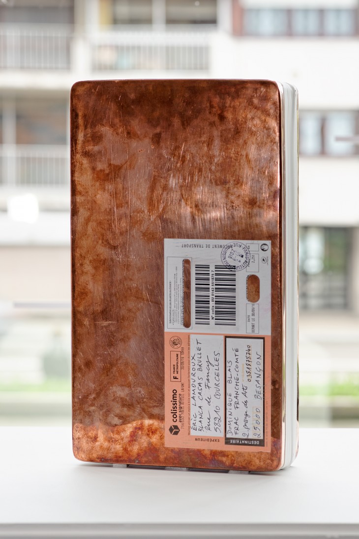 Dominique Blais Blanca Casas-Brullet Éric Lamouroux, Correspondance lumineuse,2016, Collection Frac Franche-Comté